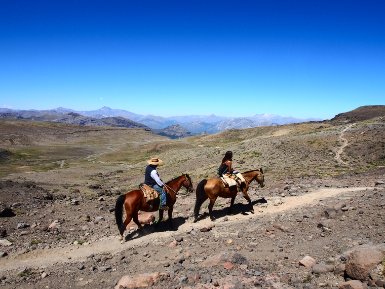 chevaux chili andes